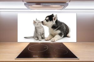 Panou sticlă bucătărie Câine și pisică
