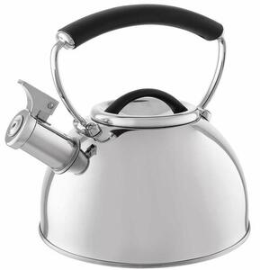 Ceainic Florina Asta, 2,3 l
