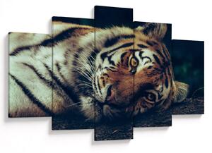 Tablou - Tigrul Siberian (150x105 cm)