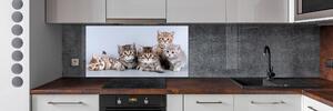 Sticlă pentru bucătărie cinci pisici