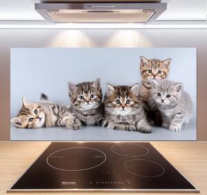 Sticlă pentru bucătărie cinci pisici
