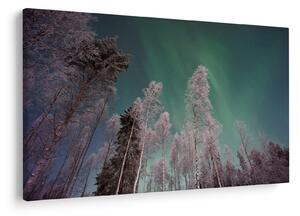 Tablou cu aurora borealis deasupra pomilor înghețați (90x60 cm)