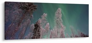 Tablou cu aurora borealis deasupra pomilor înghețați (120x50 cm)