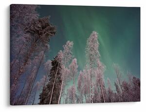 Tablou cu aurora borealis deasupra pomilor înghețați (70x50 cm)