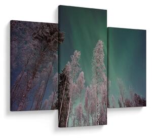 Tablou cu aurora borealis deasupra pomilor înghețați (90x60 cm)