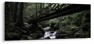 Tablou din pădurea neagră (120x50 cm)