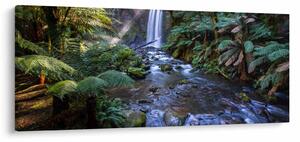 Tablou cu pădurea ploilor din Austalia (120x50 cm)