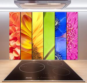 Panou sticlă decorativa bucătărie flori colorate