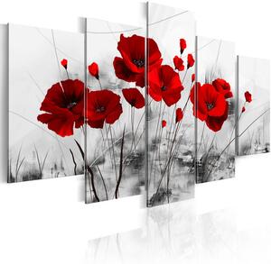 Tablou - Poppies - Red Miracle