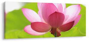Tablou cu flori de lotus (120x50 cm)