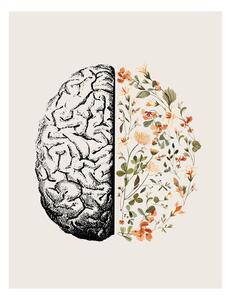 Ilustrație Brain Bloom, Beth Cai