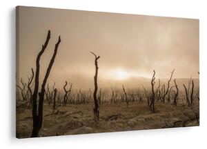 Tablou - Copaci goi (90x60 cm)