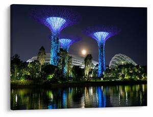 Tablou cu lună plină în grădinile din Singapur (70x50 cm)