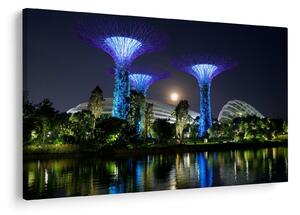 Tablou cu lună plină în grădinile din Singapur (90x60 cm)