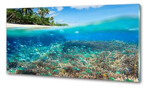 Panou sticla securizata bucatarie recif de corali