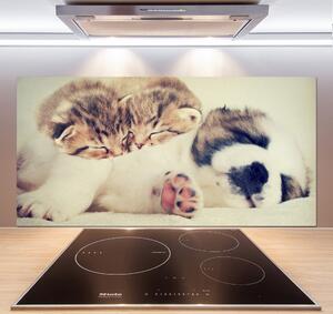Panou de bucătărie Două pisici și un câine