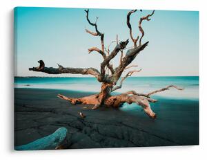 Tablou - Debarcare pe plaja (70x50 cm)