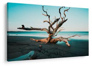Tablou - Debarcare pe plaja (90x60 cm)