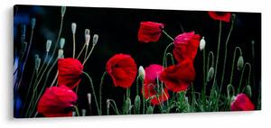 Tablou - Dansul macilor (120x50 cm)