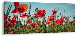 Tablou - Pe câmpul cu maci (120x50 cm)