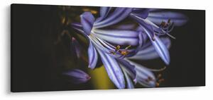 Tablou - Lila (120x50 cm)