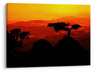 Tablou -Apus de soare (70x50 cm)