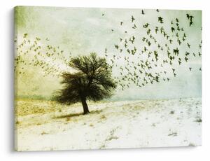 Tablou - cu multe păsări pictate (70x50 cm)
