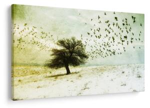 Tablou - cu multe păsări pictate (90x60 cm)
