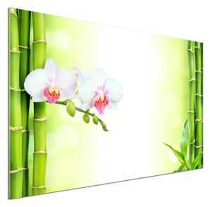 Panou perete bucătărie Orhidee și bambus
