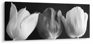 Tablou - Lalele alb negre (120x50 cm)