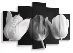 Tablou - Lalele alb negre (150x105 cm)