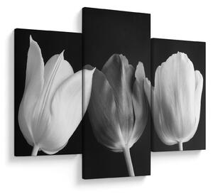 Tablou - Lalele alb negre (90x60 cm)
