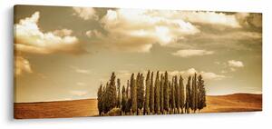 Tablou cu luncă (120x50 cm)