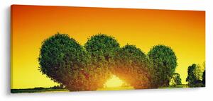 Tablou - Inima în coroanele copacilor (120x50 cm)