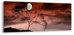 Tablou - Luna luminează noaptea (120x50 cm)