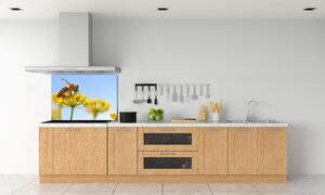 Panou sticlă decorativa bucătărie Albine pe o floare