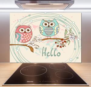 Sticlă bucătărie Owls