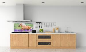 Sticlă pentru bucătărie Un cal într-un câmp de lavandă