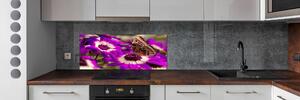 Panou sticlă decorativa bucătărie Fluture pe o floare