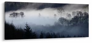 Tablou cu ceță deasupra pădurii (120x50 cm)