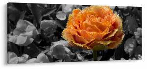 Tablou cu floare (120x50 cm)