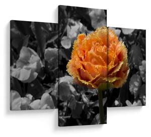 Tablou cu floare (90x60 cm)
