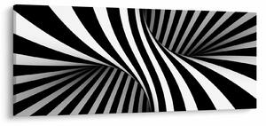 Tablou abstract cu dungi de zebră (120x50 cm)