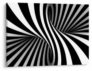 Tablou abstract cu dungi de zebră (70x50 cm)