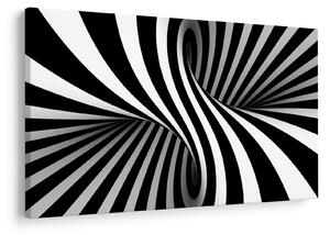 Tablou abstract cu dungi de zebră (90x60 cm)