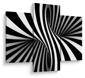 Tablou abstract cu dungi de zebră (90x60 cm)