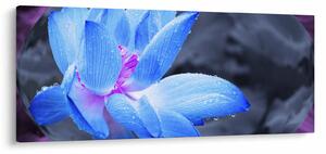 Tablou florilor în detailu (120x50 cm)