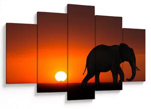Tablou cu elefant în apus de soare (150x105 cm)
