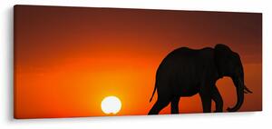 Tablou cu elefant în apus de soare (120x50 cm)