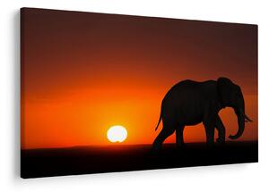 Tablou cu elefant în apus de soare (90x60 cm)